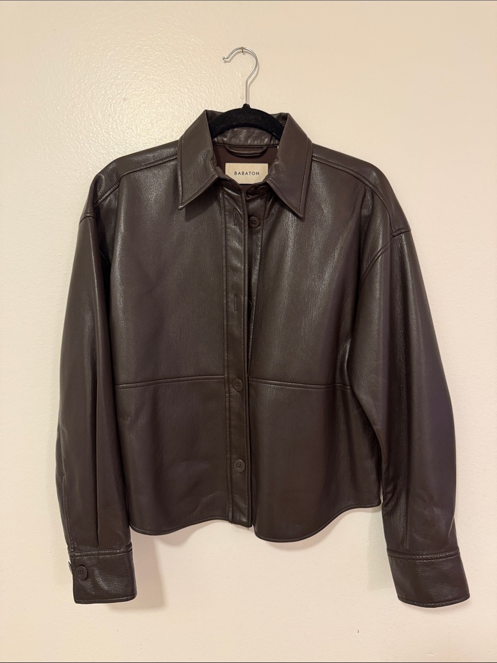 Aritzia Leather Button-Front in Dark Brown